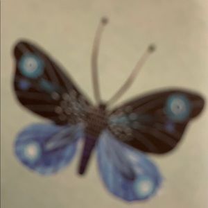 Meet your Posher, Alina